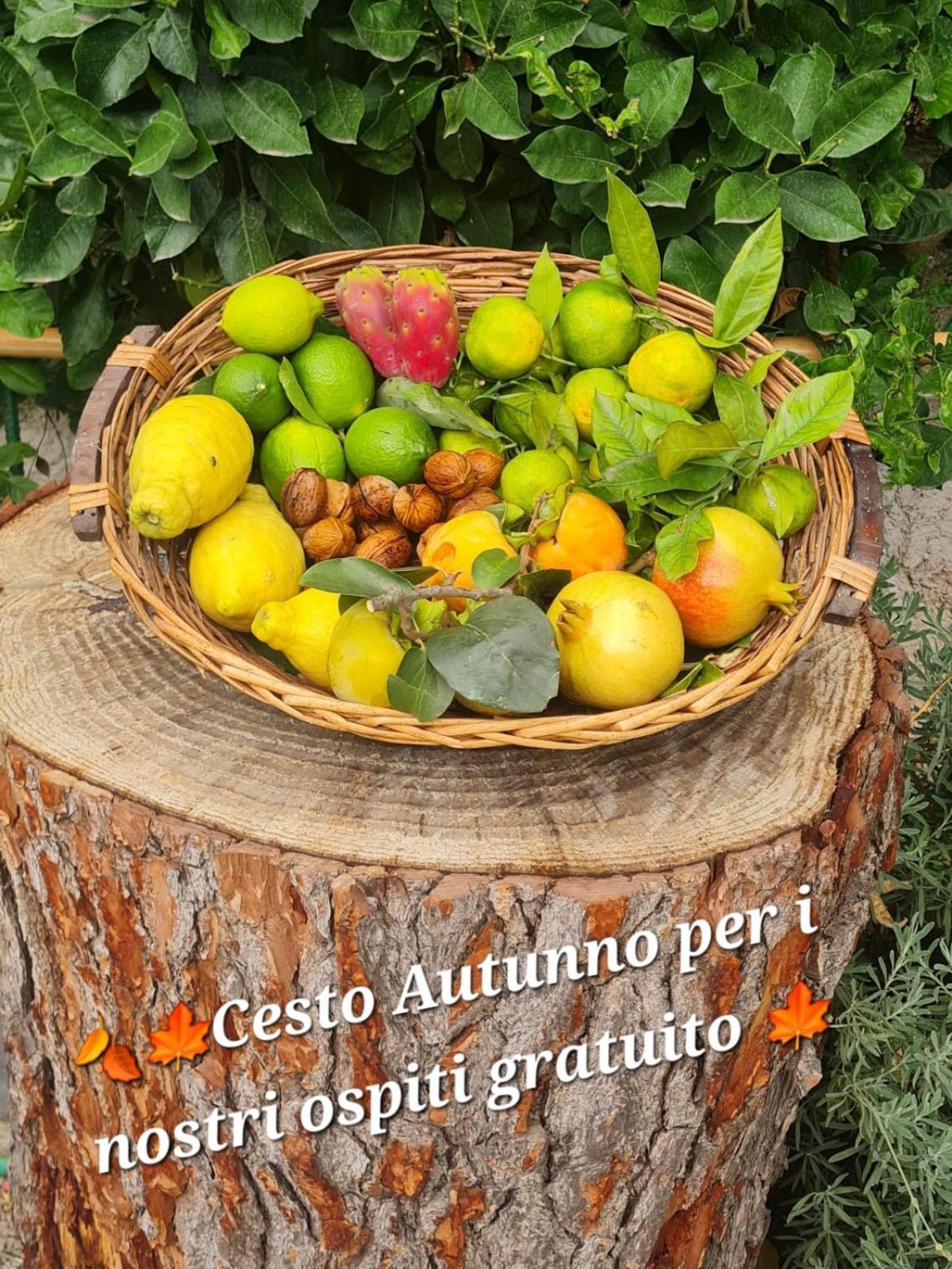 B&B Casa Vacanza Cioffi Vico Equense Exterior photo